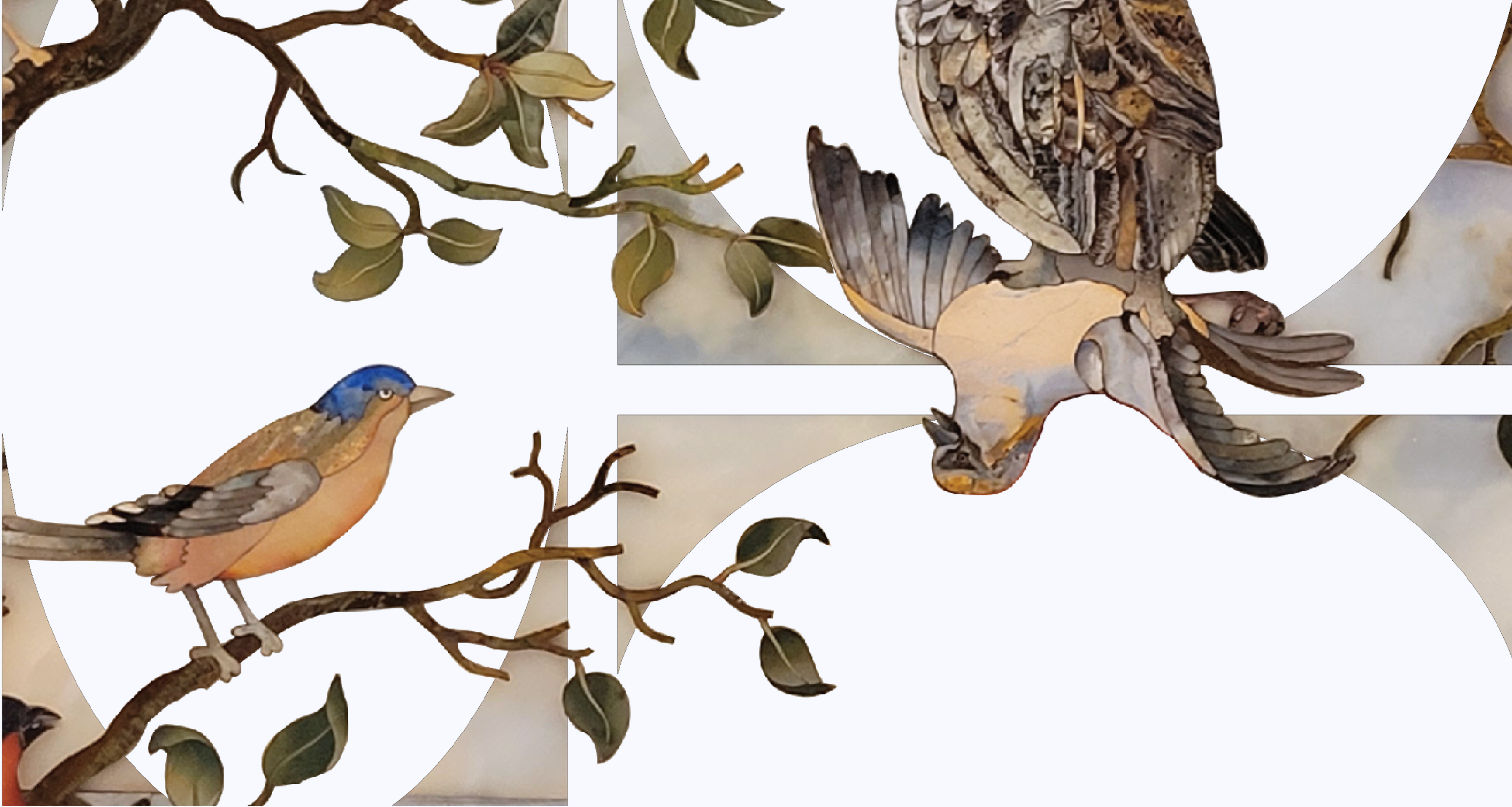 Opificio Pietre Dure project thumbnail