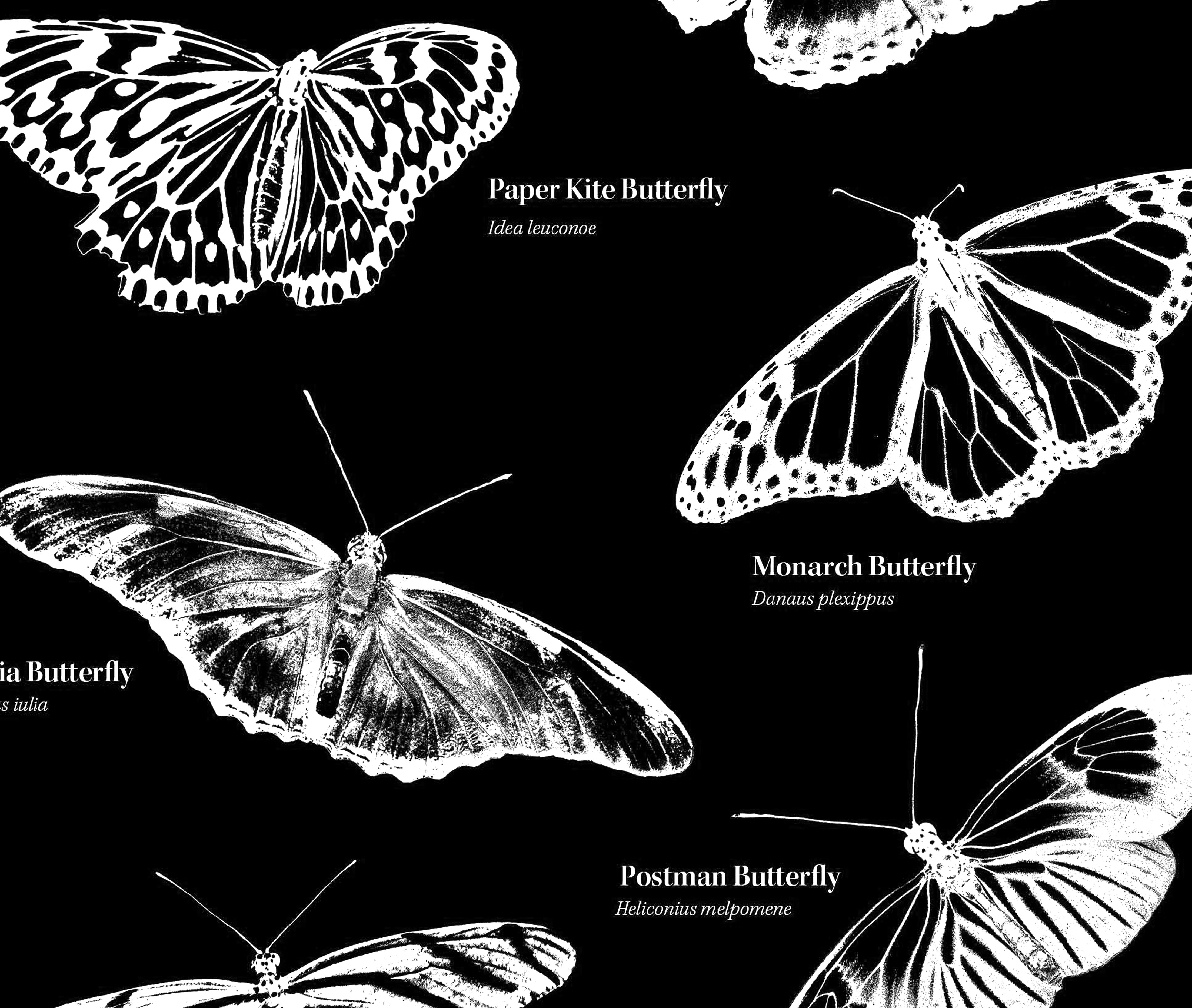 Butterfly print closeup